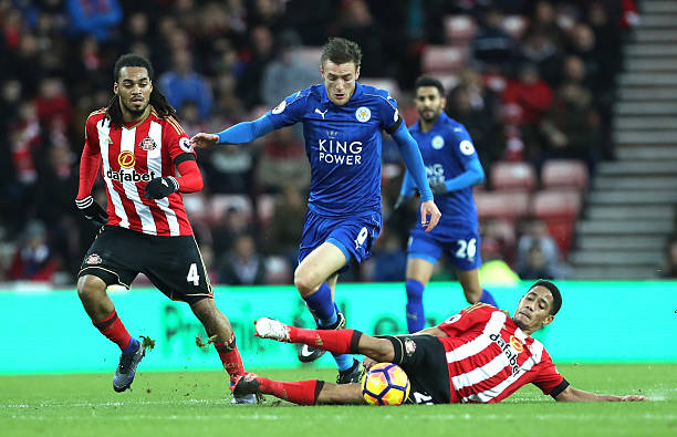 他們總能根 他們總能根